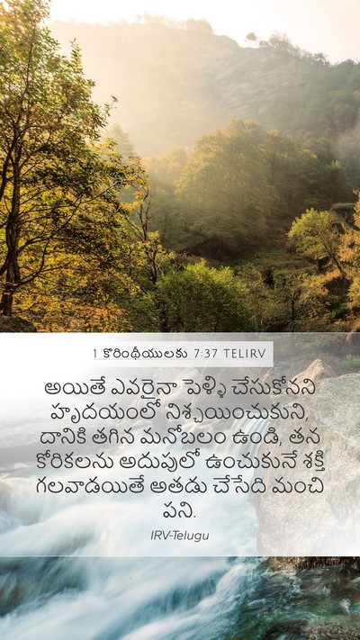 1 కొరింథీయులకు 7:37 TELIRV Bible Verse Image