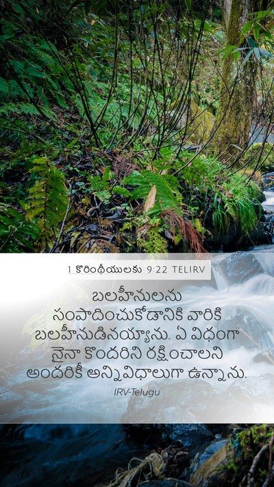 1 కొరింథీయులకు 9:22 TELIRV Bible Verse Image