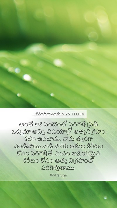 1 కొరింథీయులకు 9:25 TELIRV Bible Verse Image