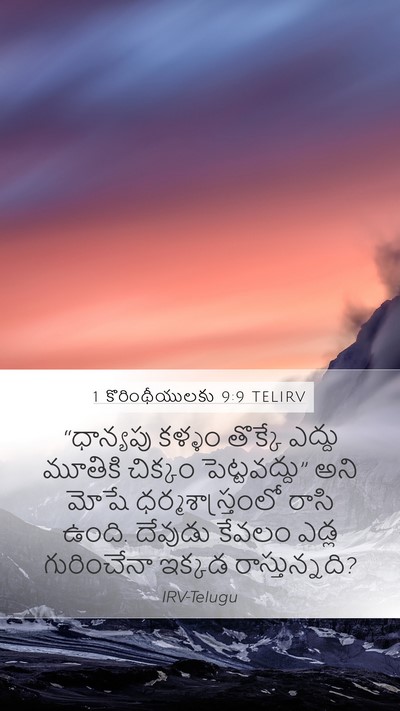 1 కొరింథీయులకు 9:9 TELIRV Bible Verse Image
