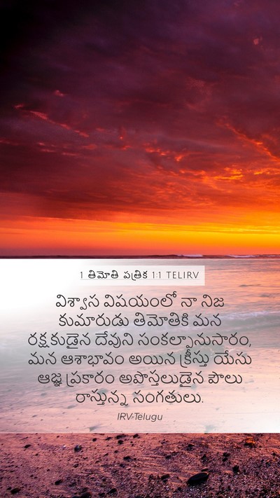 1 తిమోతి పత్రిక 1:1 TELIRV Bible Verse Image