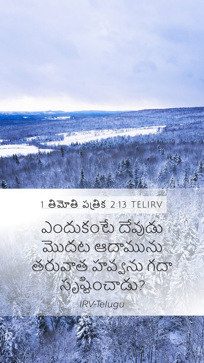 1 తిమోతి పత్రిక 2:13 TELIRV Bible Verse Image