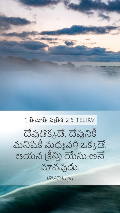 1 తిమోతి పత్రిక 2:5 TELIRV Bible Verse Image