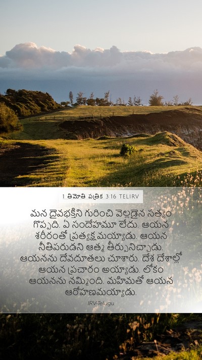 1 తిమోతి పత్రిక 3:16 TELIRV Bible Verse Image
