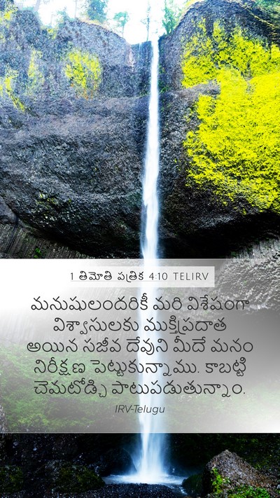 1 తిమోతి పత్రిక 4:10 TELIRV Bible Verse Image