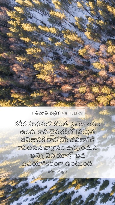 1 తిమోతి పత్రిక 4:8 TELIRV Bible Verse Image