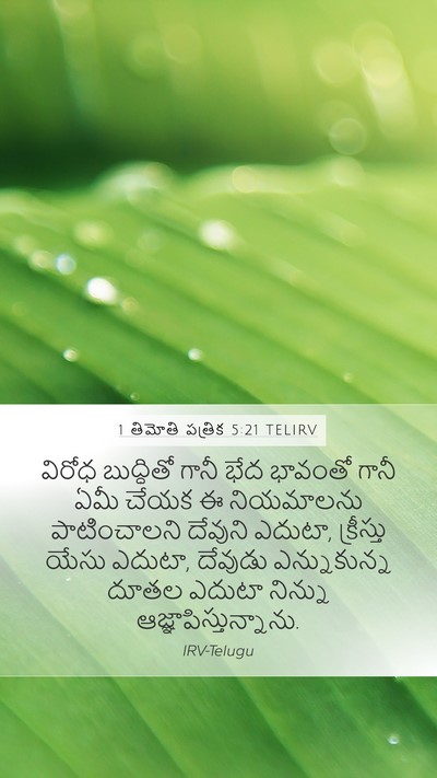 1 తిమోతి పత్రిక 5:21 TELIRV Bible Verse Image