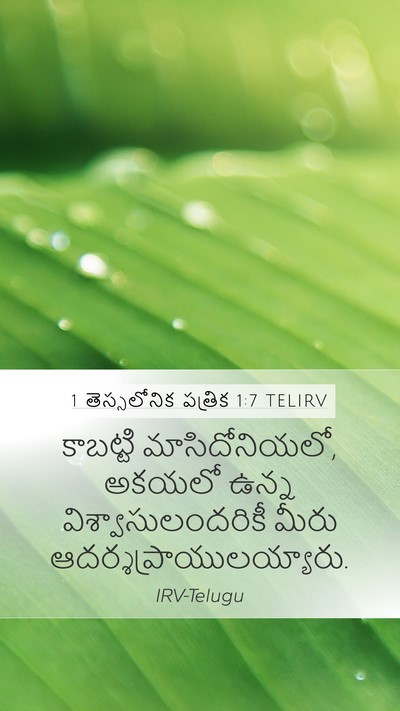 1 తెస్సలోనిక పత్రిక 1:7 TELIRV Bible Verse Image