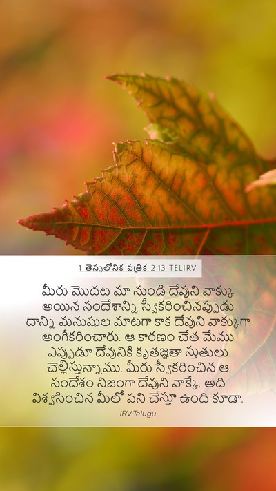 1 తెస్సలోనిక పత్రిక 2:13 TELIRV Bible Verse Image