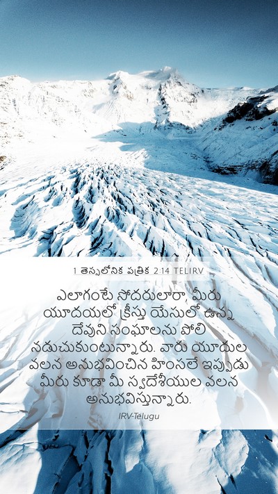 1 తెస్సలోనిక పత్రిక 2:14 TELIRV Bible Verse Image