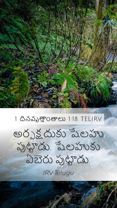 1 దినవృత్తాంతాలు 1:18 TELIRV Mobile Phone Wallpaper - అర్పక్షదుకు షేలహు - Mobile Bible Verse Wallpaper