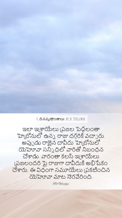 1 దినవృత్తాంతాలు 11:3 TELIRV Bible Verse Image