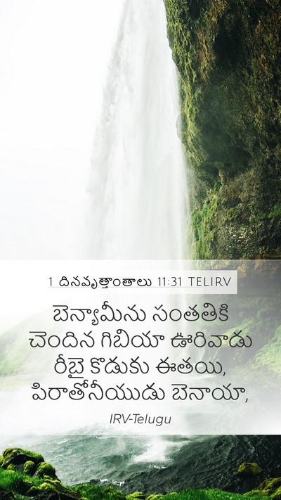 1 దినవృత్తాంతాలు 11:31 TELIRV Bible Verse Image