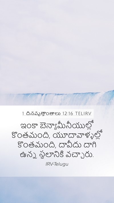1 దినవృత్తాంతాలు 12:16 TELIRV Bible Verse Image