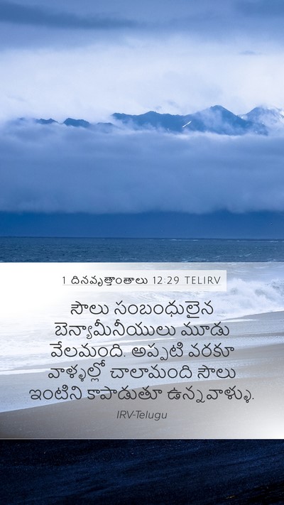 1 దినవృత్తాంతాలు 12:29 TELIRV Bible Verse Image