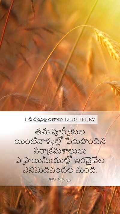 1 దినవృత్తాంతాలు 12:30 TELIRV Bible Verse Image