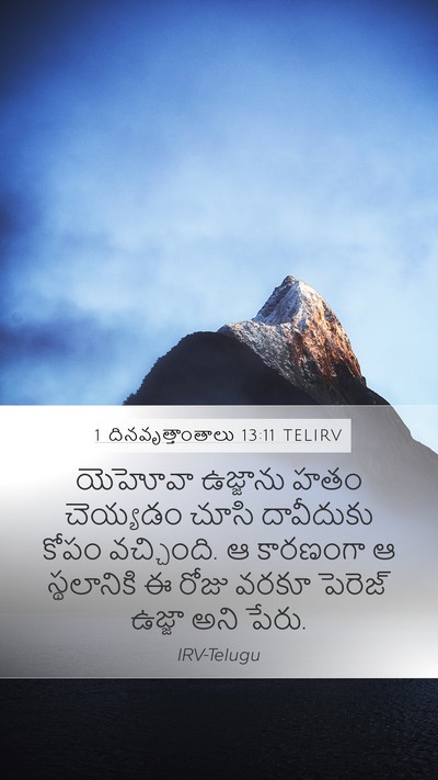 1 దినవృత్తాంతాలు 13:11 TELIRV Bible Verse Image