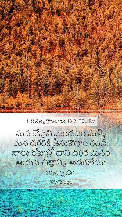 1 దినవృత్తాంతాలు 13:3 TELIRV Bible Verse Image