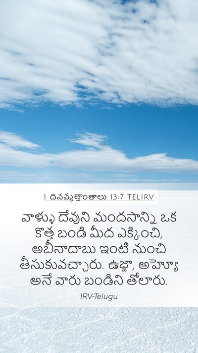 1 దినవృత్తాంతాలు 13:7 TELIRV Bible Verse Image