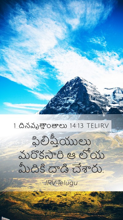 1 దినవృత్తాంతాలు 14:13 TELIRV Bible Verse Image