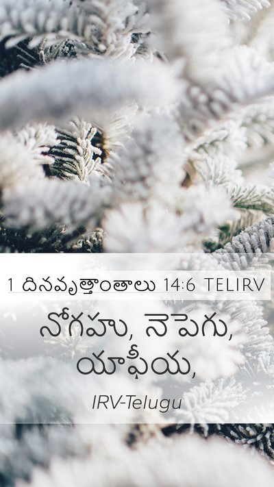 1 దినవృత్తాంతాలు 14:6 TELIRV Mobile Phone Wallpaper - నోగహు, నెపెగు, - Mobile Bible Verse Wallpaper