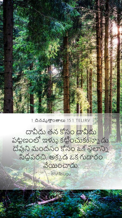 1 దినవృత్తాంతాలు 15:1 TELIRV Bible Verse Image