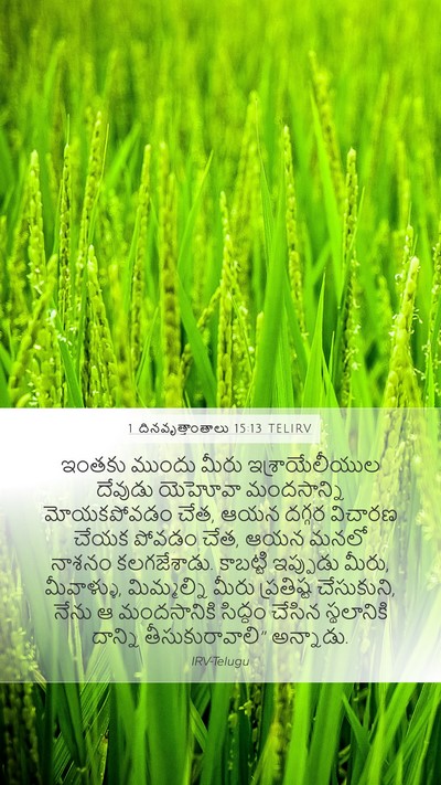 1 దినవృత్తాంతాలు 15:13 TELIRV Bible Verse Image