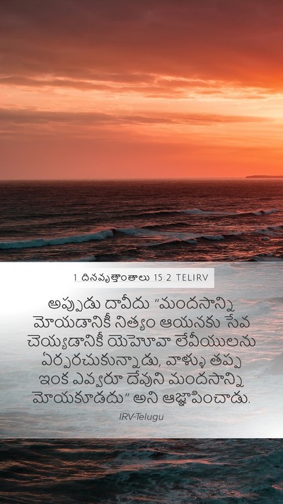 1 దినవృత్తాంతాలు 15:2 TELIRV Bible Verse Image