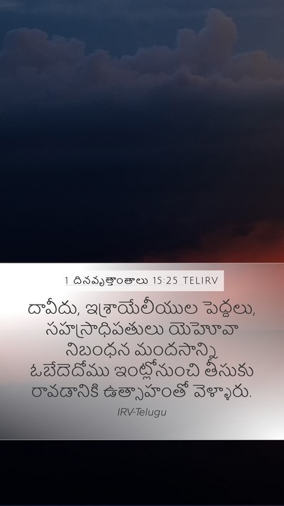 1 దినవృత్తాంతాలు 15:25 TELIRV Bible Verse Image