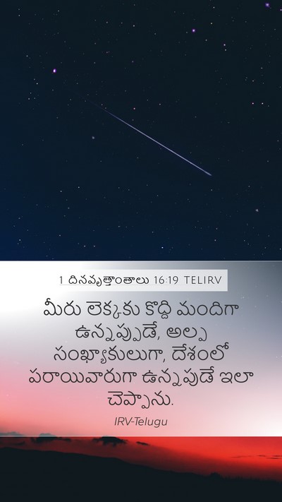 1 దినవృత్తాంతాలు 16:19 TELIRV Bible Verse Image