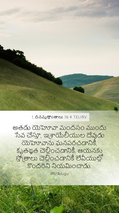 1 దినవృత్తాంతాలు 16:4 TELIRV Bible Verse Image