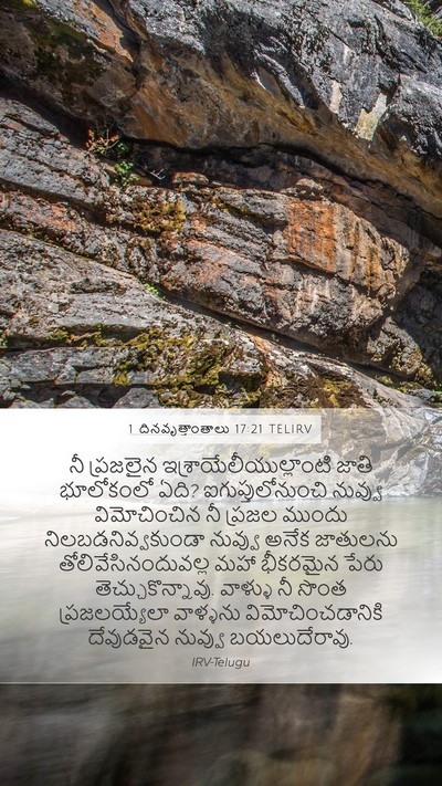 1 దినవృత్తాంతాలు 17:21 TELIRV Bible Verse Image