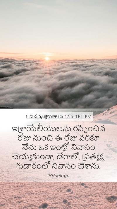 1 దినవృత్తాంతాలు 17:5 TELIRV Bible Verse Image
