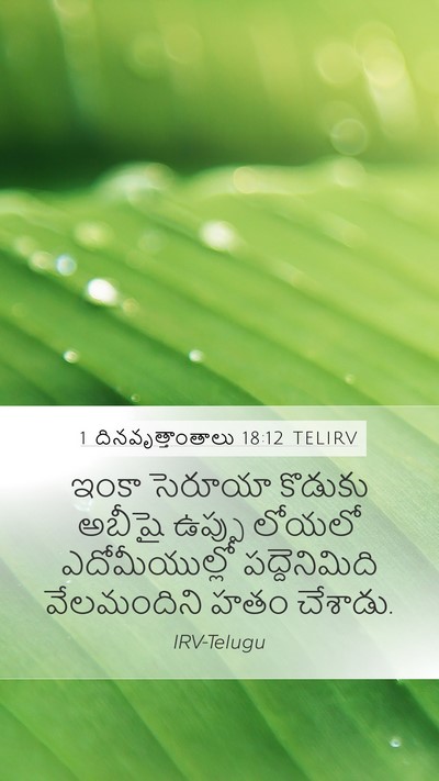 1 దినవృత్తాంతాలు 18:12 TELIRV Bible Verse Image