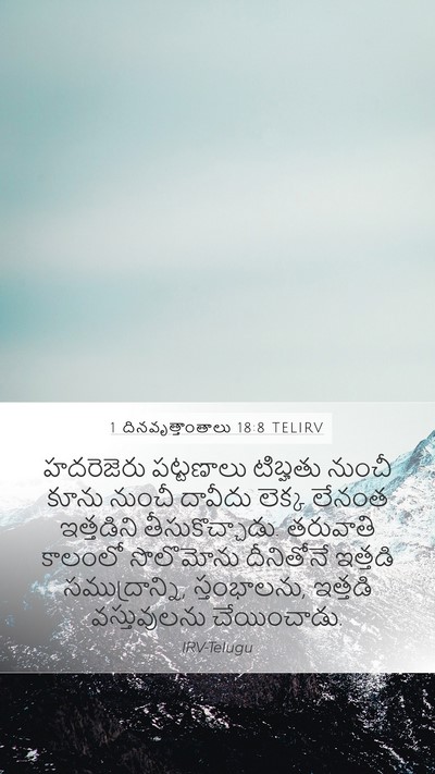 1 దినవృత్తాంతాలు 18:8 TELIRV Bible Verse Image