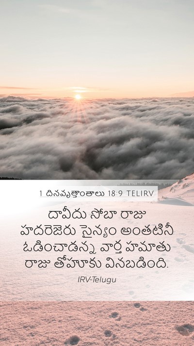 1 దినవృత్తాంతాలు 18:9 TELIRV Bible Verse Image