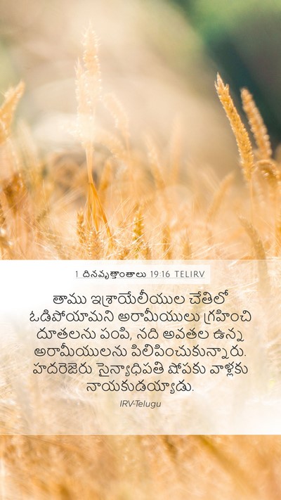 1 దినవృత్తాంతాలు 19:16 TELIRV Bible Verse Image