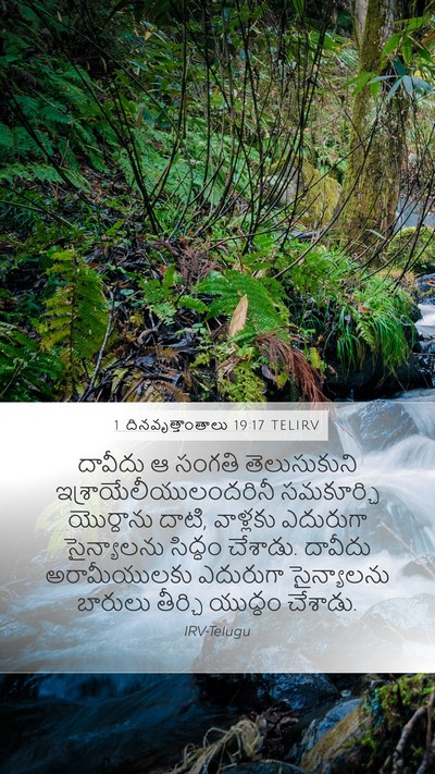 1 దినవృత్తాంతాలు 19:17 TELIRV Bible Verse Image