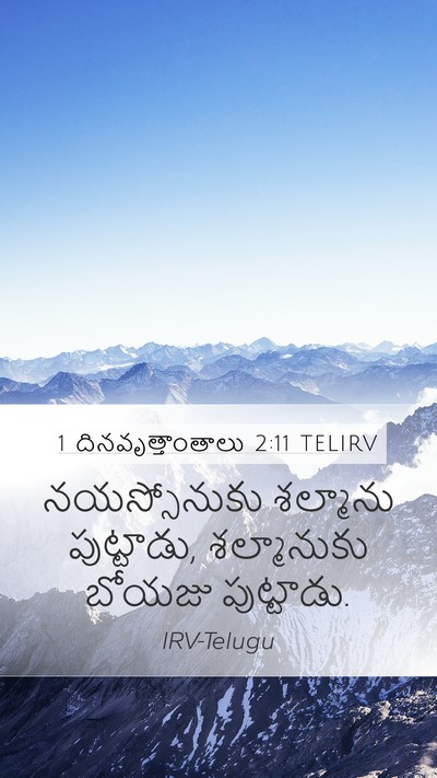 1 దినవృత్తాంతాలు 2:11 TELIRV Bible Verse Image
