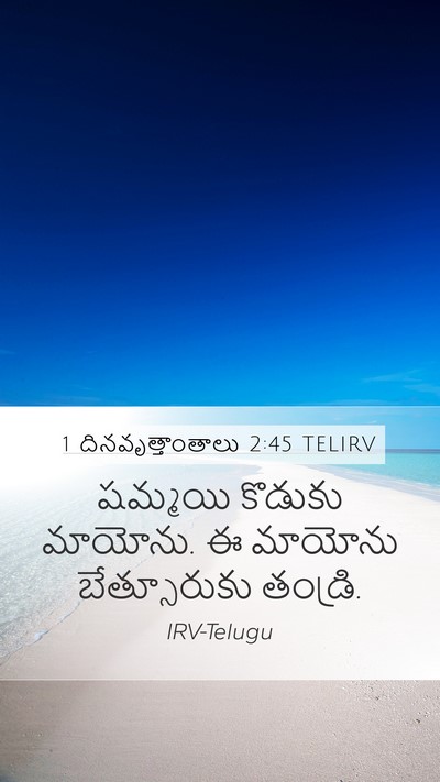 1 దినవృత్తాంతాలు 2:45 TELIRV Bible Verse Image