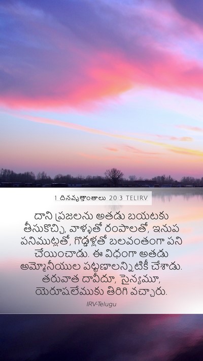 1 దినవృత్తాంతాలు 20:3 TELIRV Bible Verse Image