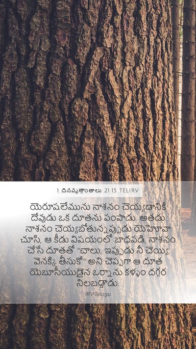 1 దినవృత్తాంతాలు 21:15 TELIRV Bible Verse Image