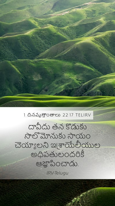 1 దినవృత్తాంతాలు 22:17 TELIRV Bible Verse Image