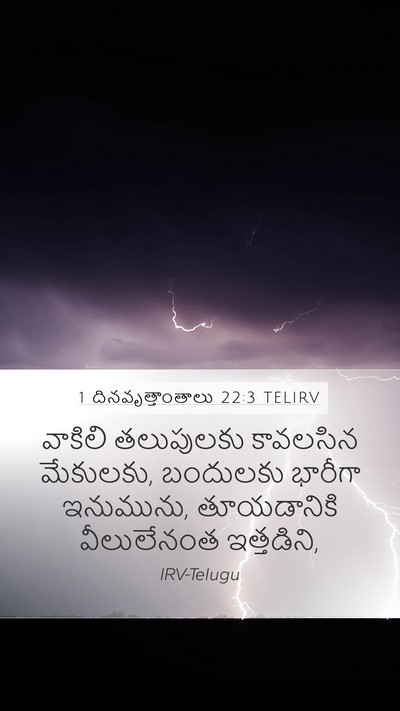 1 దినవృత్తాంతాలు 22:3 TELIRV Bible Verse Image