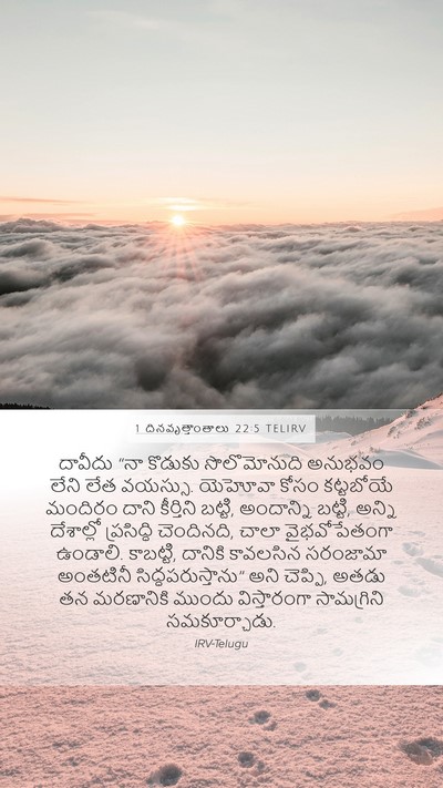1 దినవృత్తాంతాలు 22:5 TELIRV Bible Verse Image