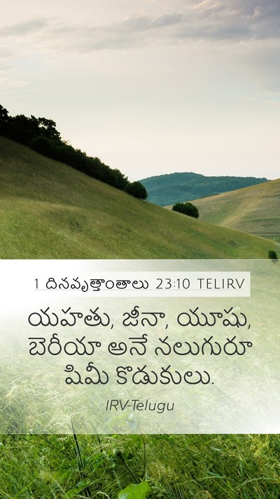 1 దినవృత్తాంతాలు 23:10 TELIRV Bible Verse Image