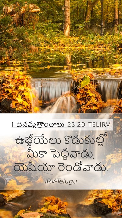 1 దినవృత్తాంతాలు 23:20 TELIRV Bible Verse Image