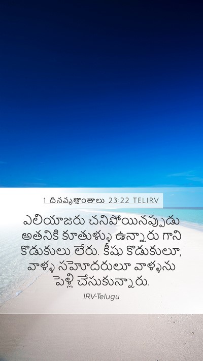 1 దినవృత్తాంతాలు 23:22 TELIRV Bible Verse Image