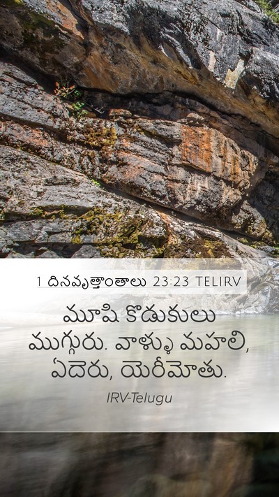 1 దినవృత్తాంతాలు 23:23 TELIRV Bible Verse Image