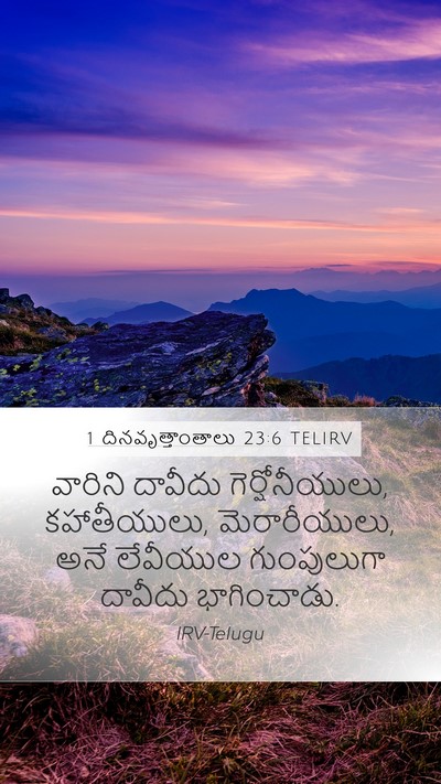 1 దినవృత్తాంతాలు 23:6 TELIRV Bible Verse Image